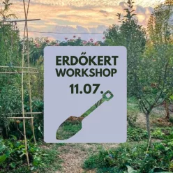 Erdőkert workshop Molnár Gáborral